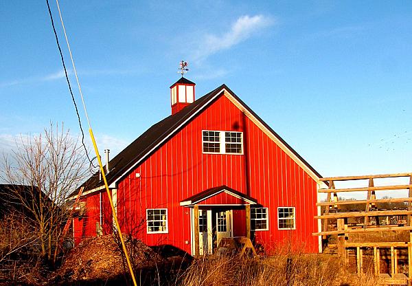 Glass Rooster Cannery