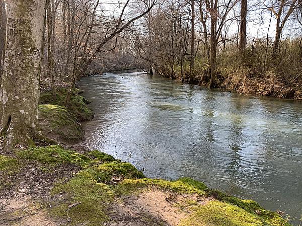 creek running through property with trees on both sides