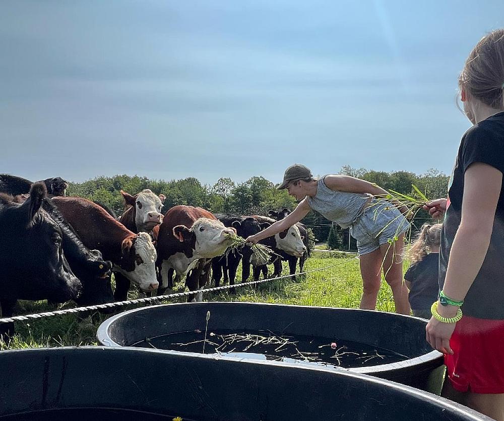 Featured Image- People feeding cattle at the ranch