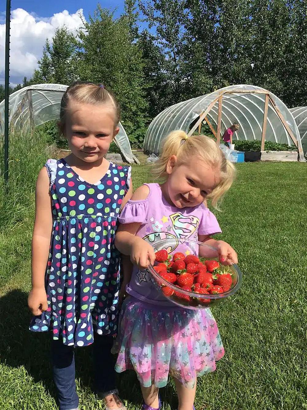 Featured Image- 2 young children holding a bowl of stawberries