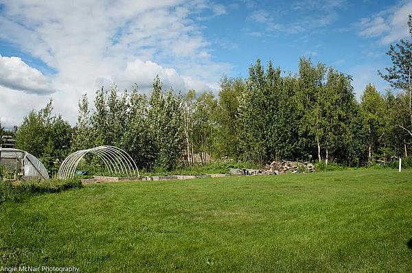 Field with hoop houses