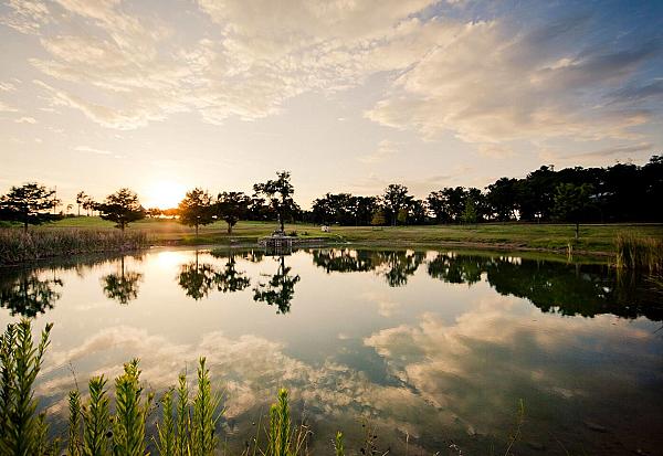 Starhill Farms TX | Farm Stay USA