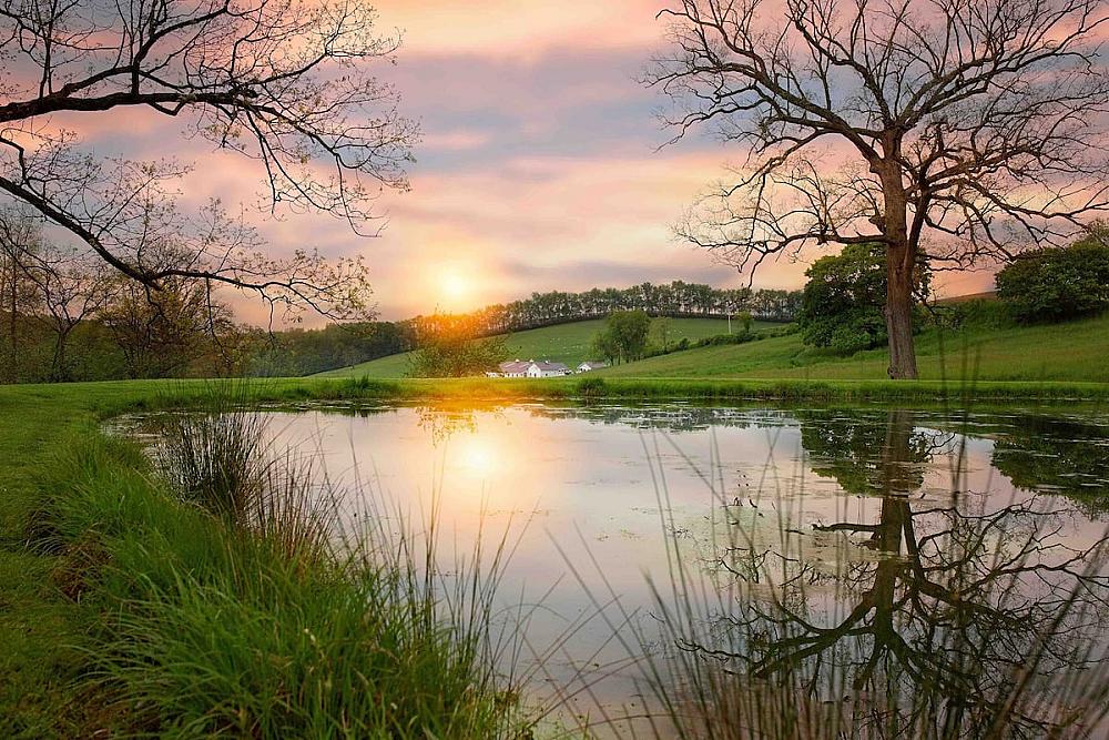 Featured Image - pond surrounded by green grass with setting sun