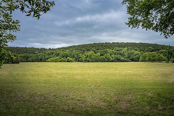 view across a green pasture to forested hill