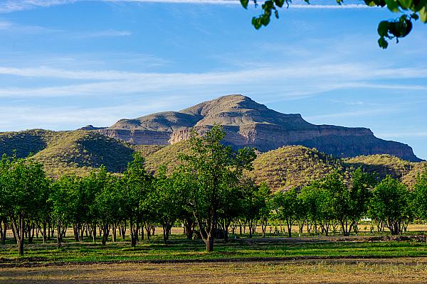 Aravaipa Farms Orchard and Inn