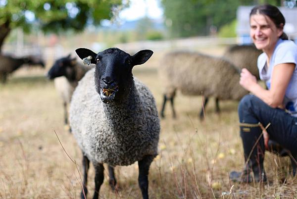 woman squatting down with black sheep
