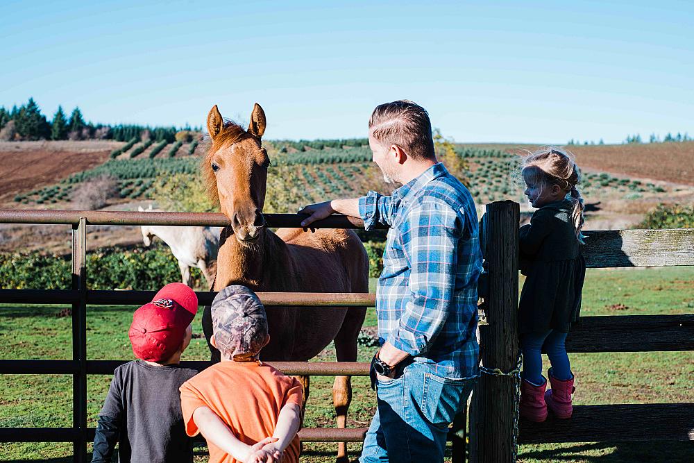 Featured Image family greeting a horse over a fence