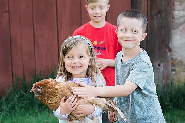 kids holding a chicken