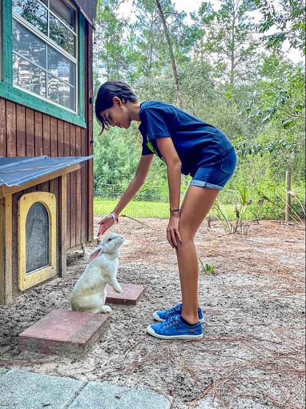 girl petting a rabbit