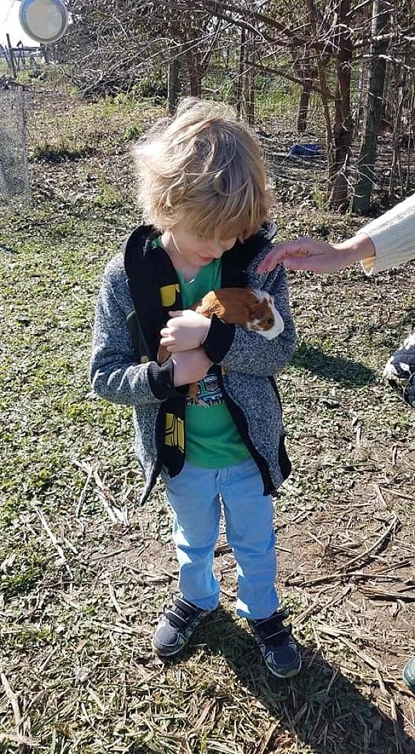 child holding a chicken