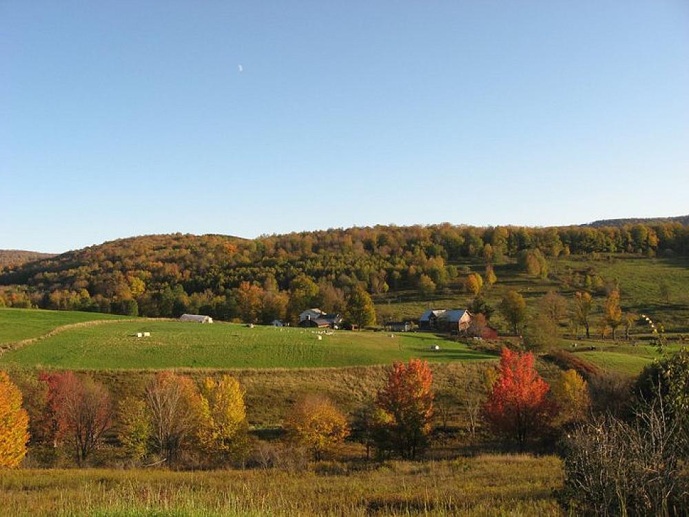 Featured Image- green pastures and rolling hills of full of trees in autumn