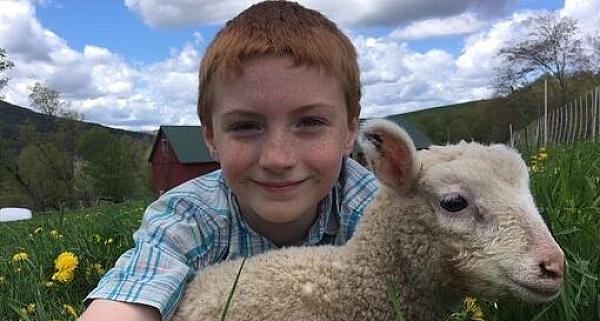 Child holding a lamb at Stone & Thistle Farm, East Meredith, New York 