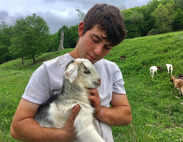 Man holding a goat in a green pasture 