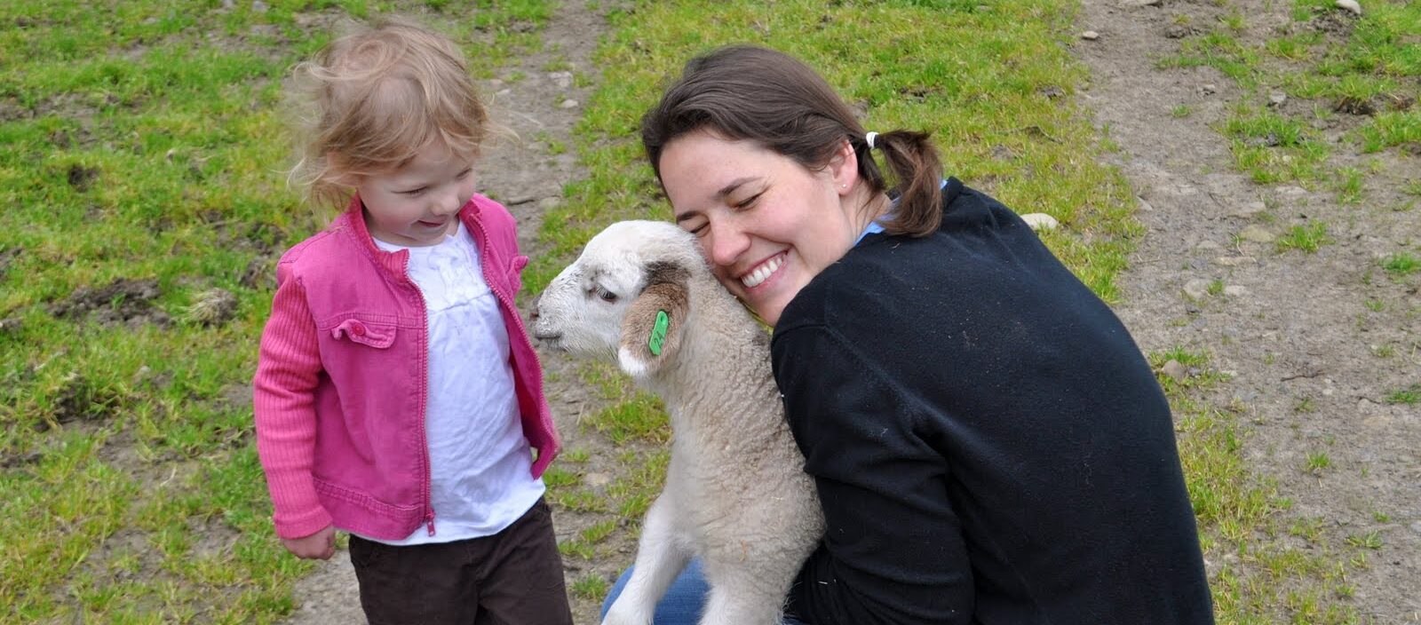 Try this Family Adventure - Stay on a Farm