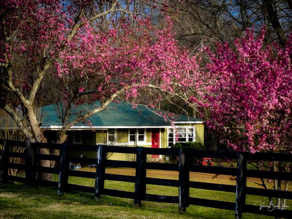 Featured Image- House at Stillwaters