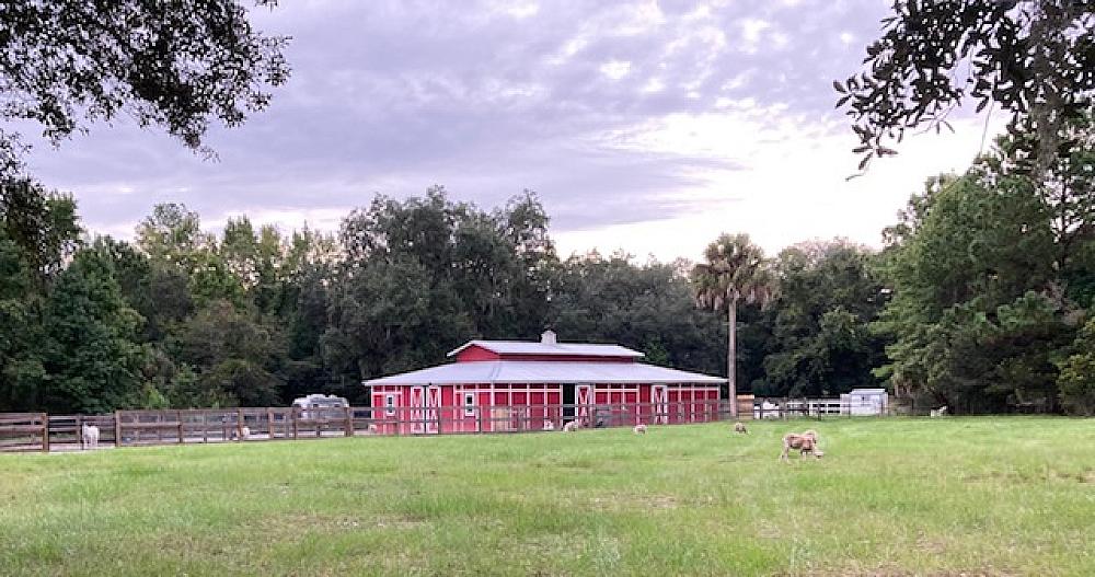Featured Image- Large red barn on the farm