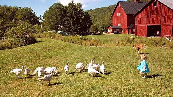 Stony Creek Farmstead