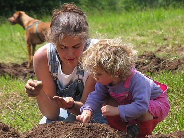 adult and child planting seeds