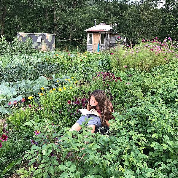 Person reading in a flower garden