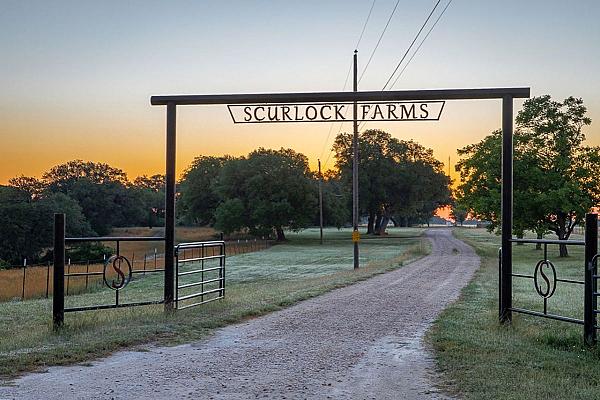 Scurlock Farms