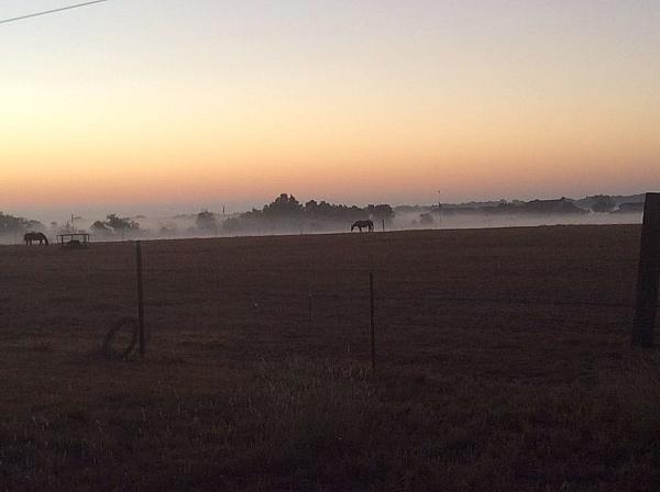 Scurlock Farms, Georgetown, Texas | Farm Stay USA