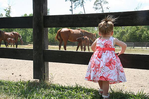 Splendor Farms Bed and Breakfast