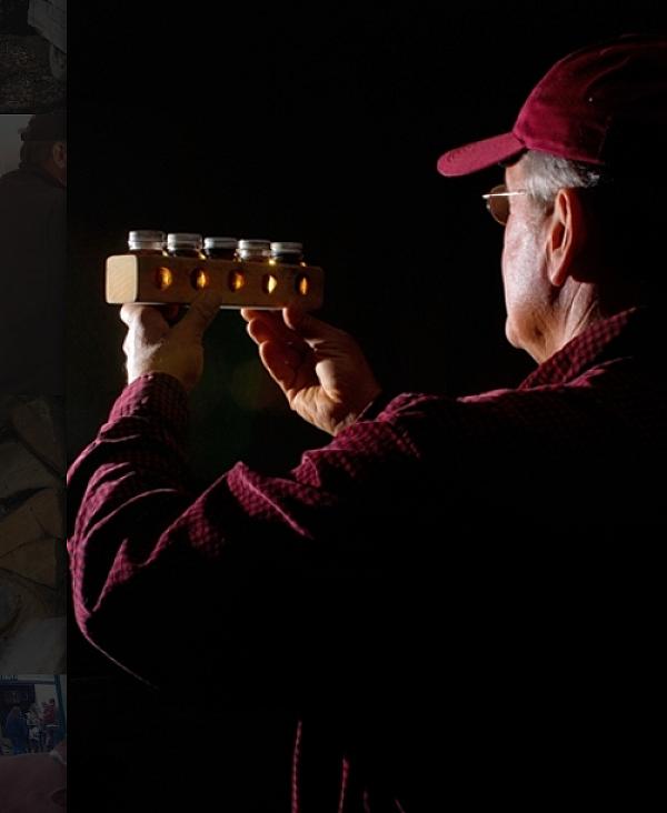 a man checking the grading of maple syrup