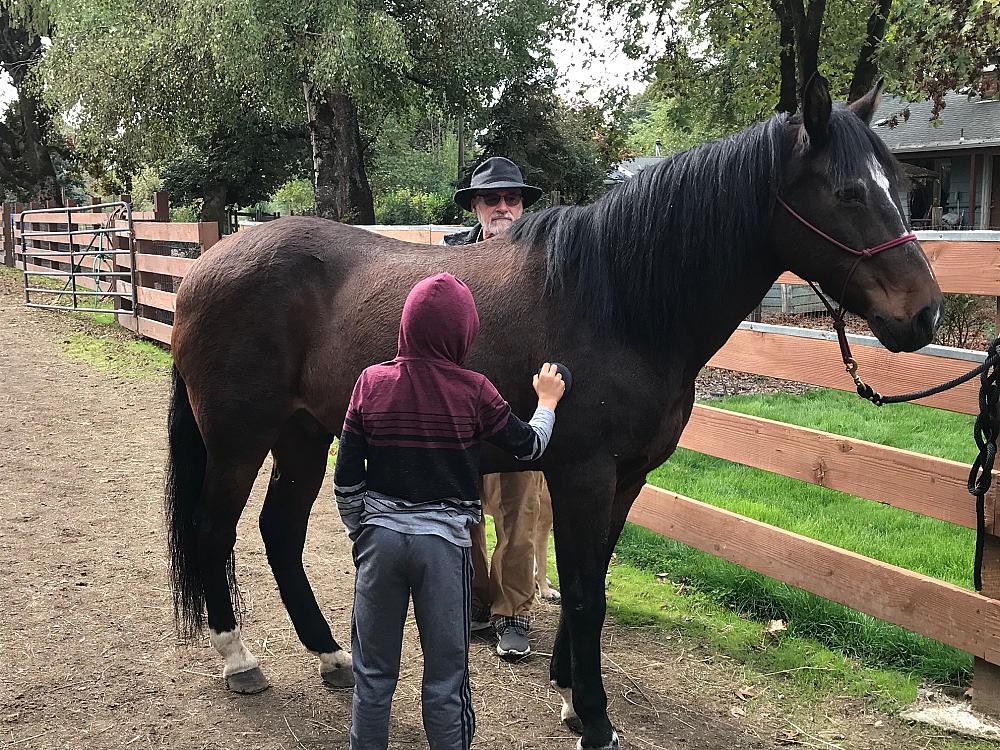 Featured Image- Two people brushing a horse
