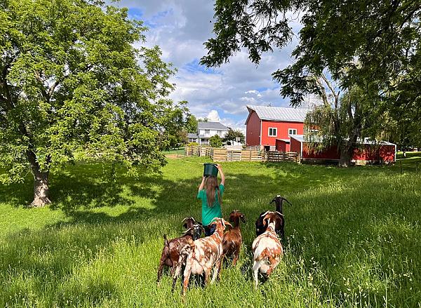 The Country Experience