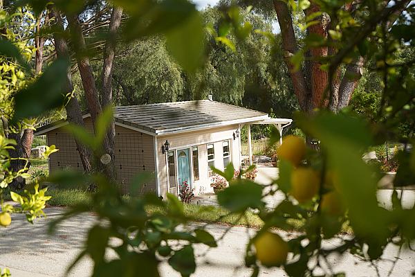 white cottage with blue door in a grove of trees