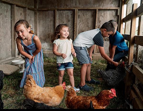 kids with chickens
