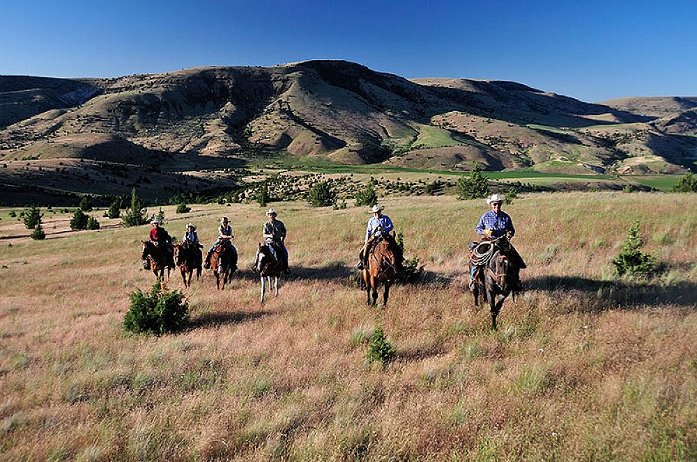 People riding horses in open fields with mountains in the background