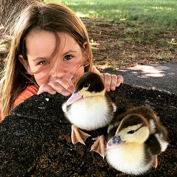 A child standing behind baby birds