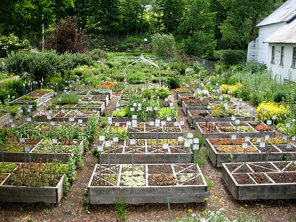 Labour of Love Landscaping and Nursery