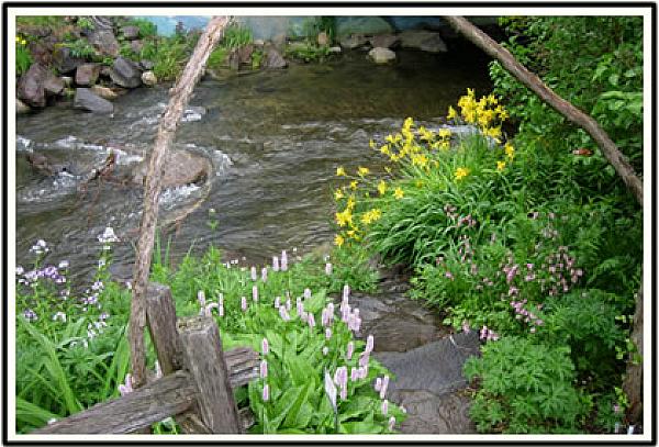 creek with garden steps and flowers down the bank