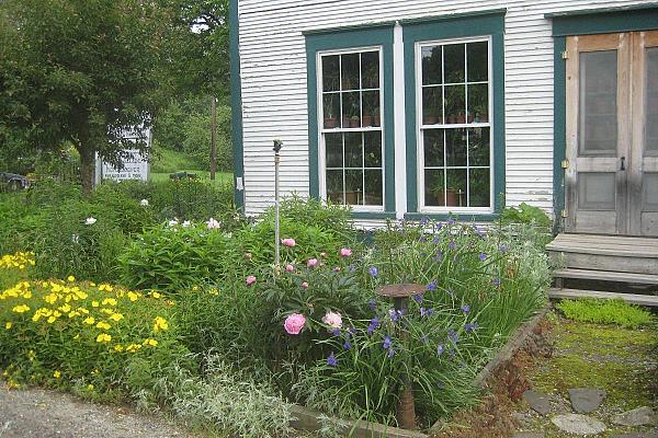 front door of white clapboard house with flowers