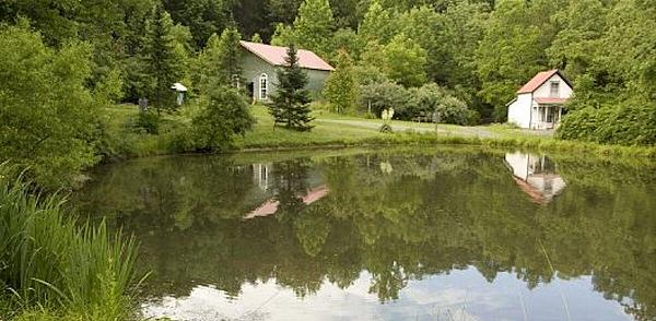 House on tree lined pond