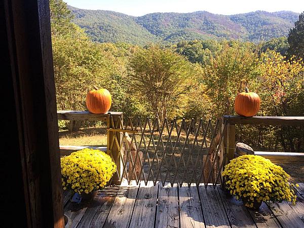 deck overlooking fall in the valley