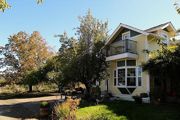yellow two-story house surrounded with trees