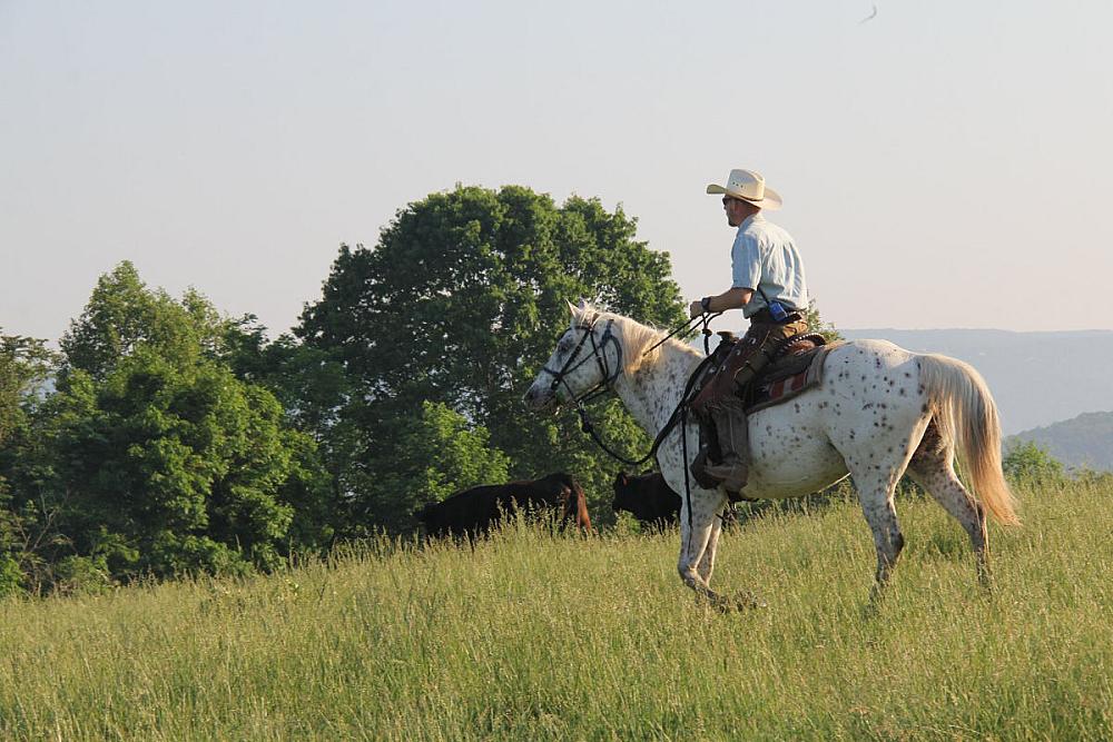 Featured Image - man in cowboy hat riding an Appaloosa spotted horse