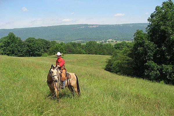 person in red shirt sitting on buckskin horse in green hillside pasture