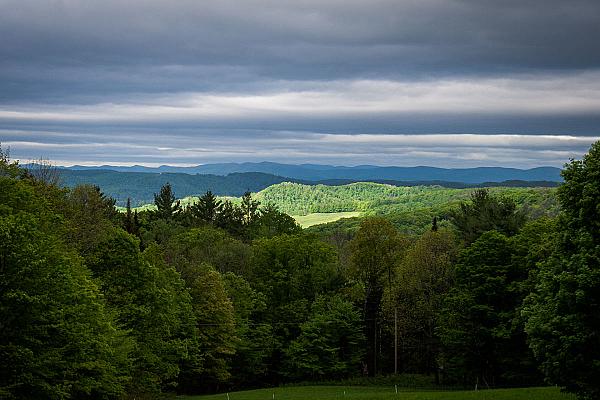Scenic views of trees and rolling hills at Grand View Farm, Washington, Vermont 