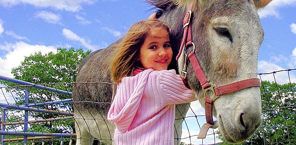 girl hugging donkey