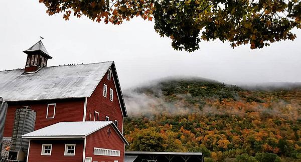 Red dairy barn with hillside trees in autumn