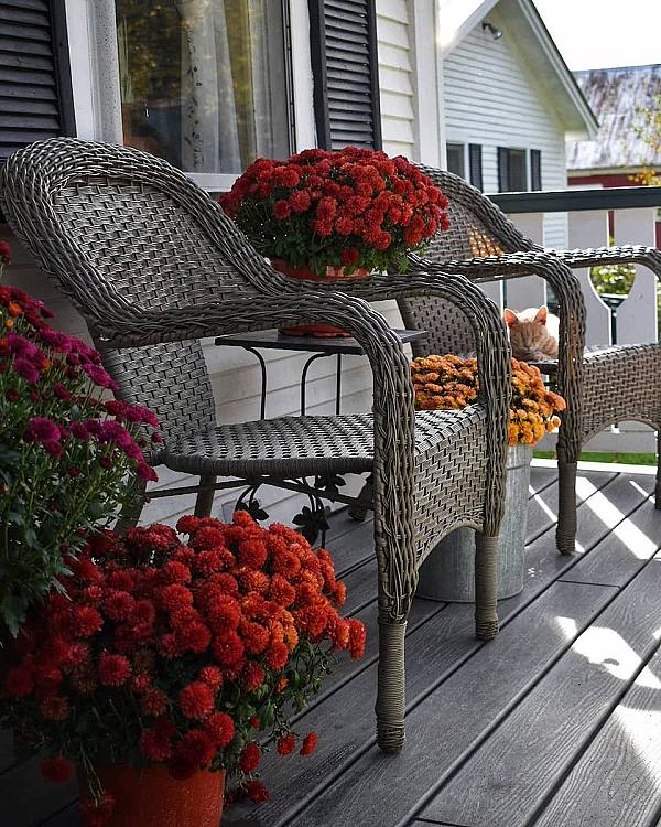 wicker chairs with flowers on a deck
