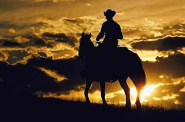 Cowboy on a horse in the sunset