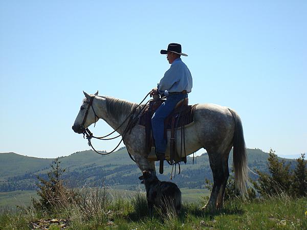 cowboy on a horse 