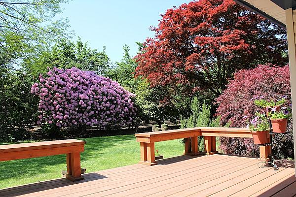 deck of house looking over flowering bushes and trees