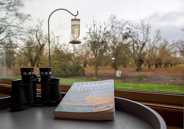 view out window to orchard with book and binoculars on table