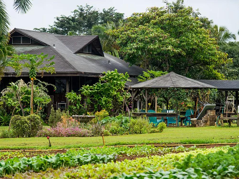 Featured Image- Farm house with gardens all around